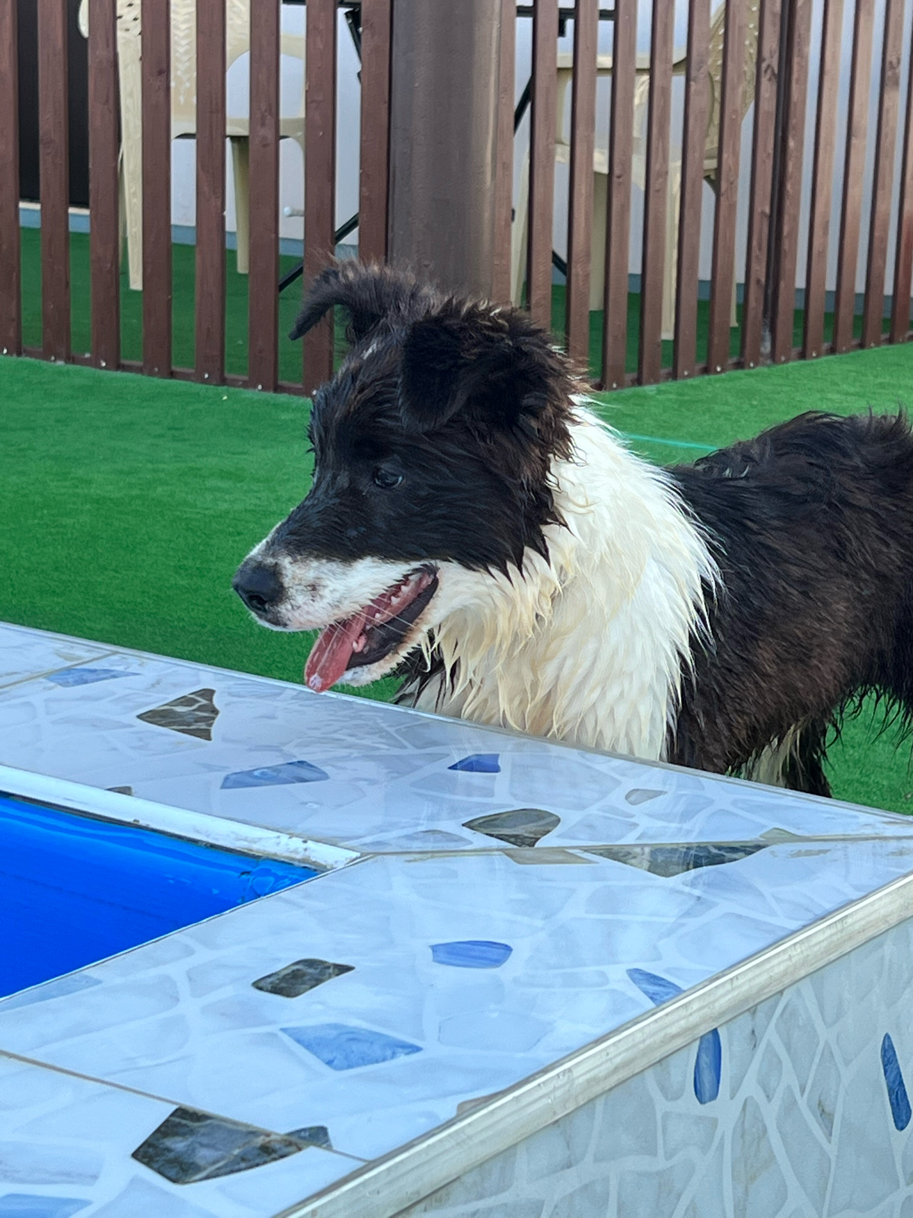 Фото Гостевой дом Сириус