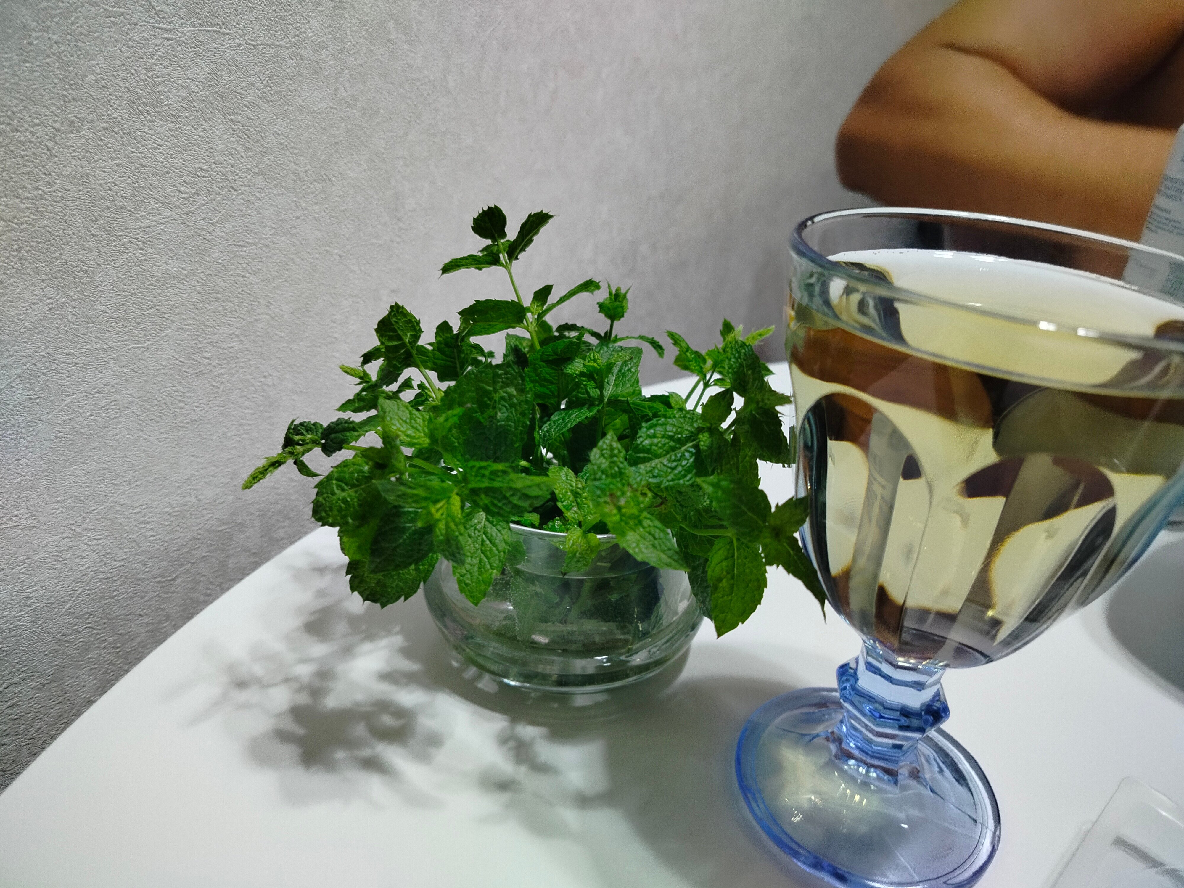 Фото Студия в частном доме в Выселках