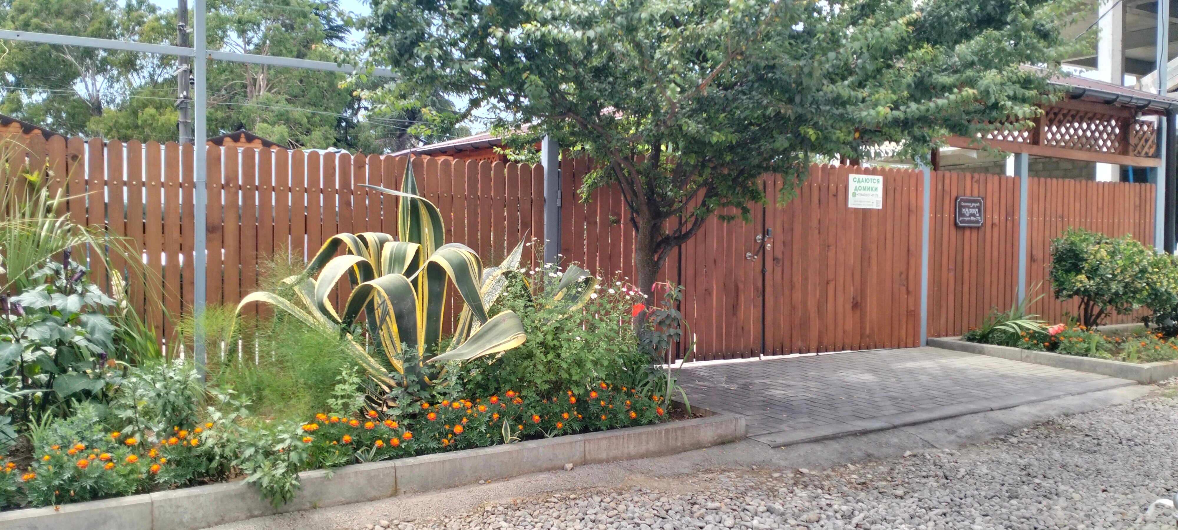 Фото Малина