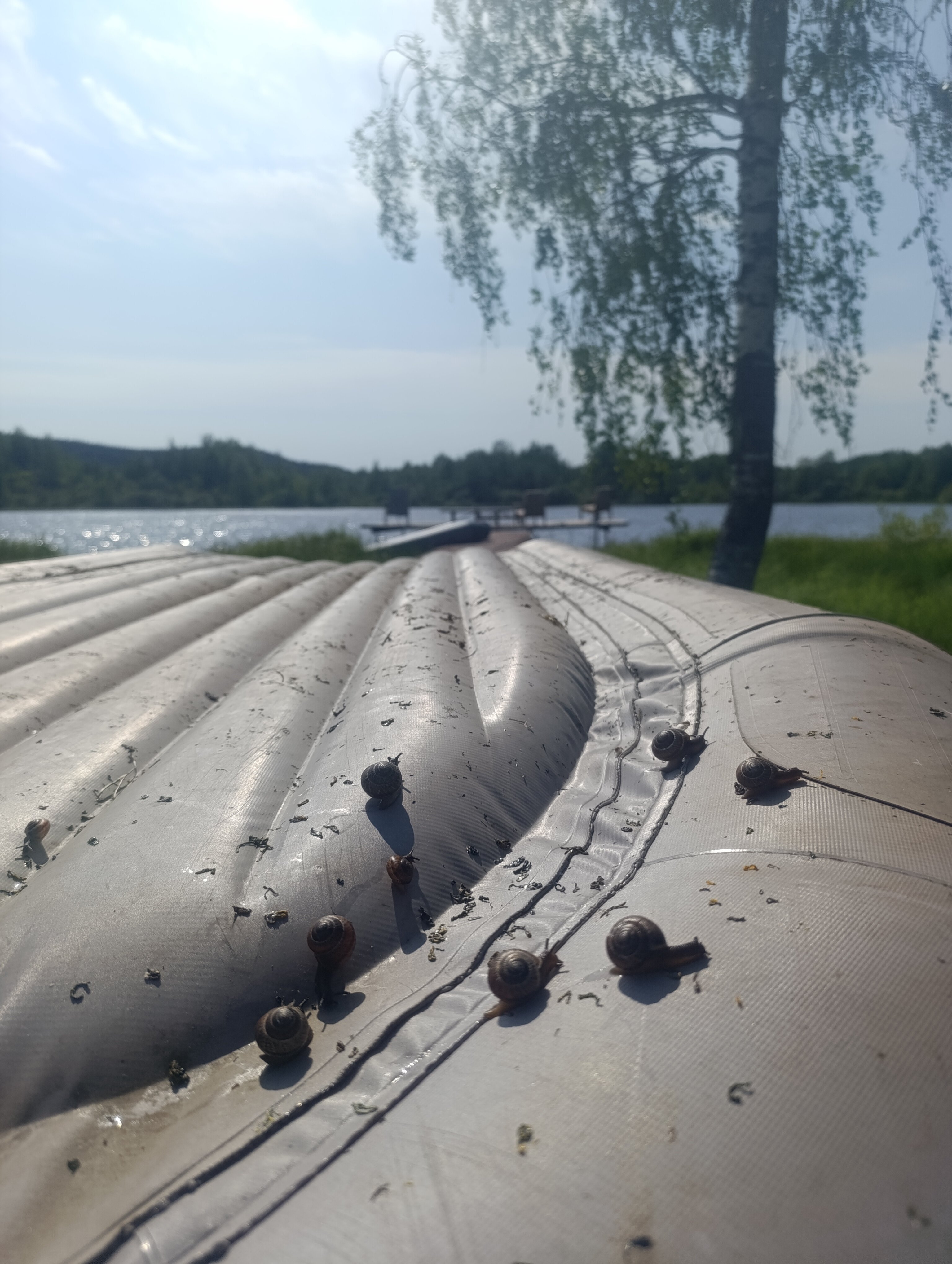 Фото Тихое Озеро