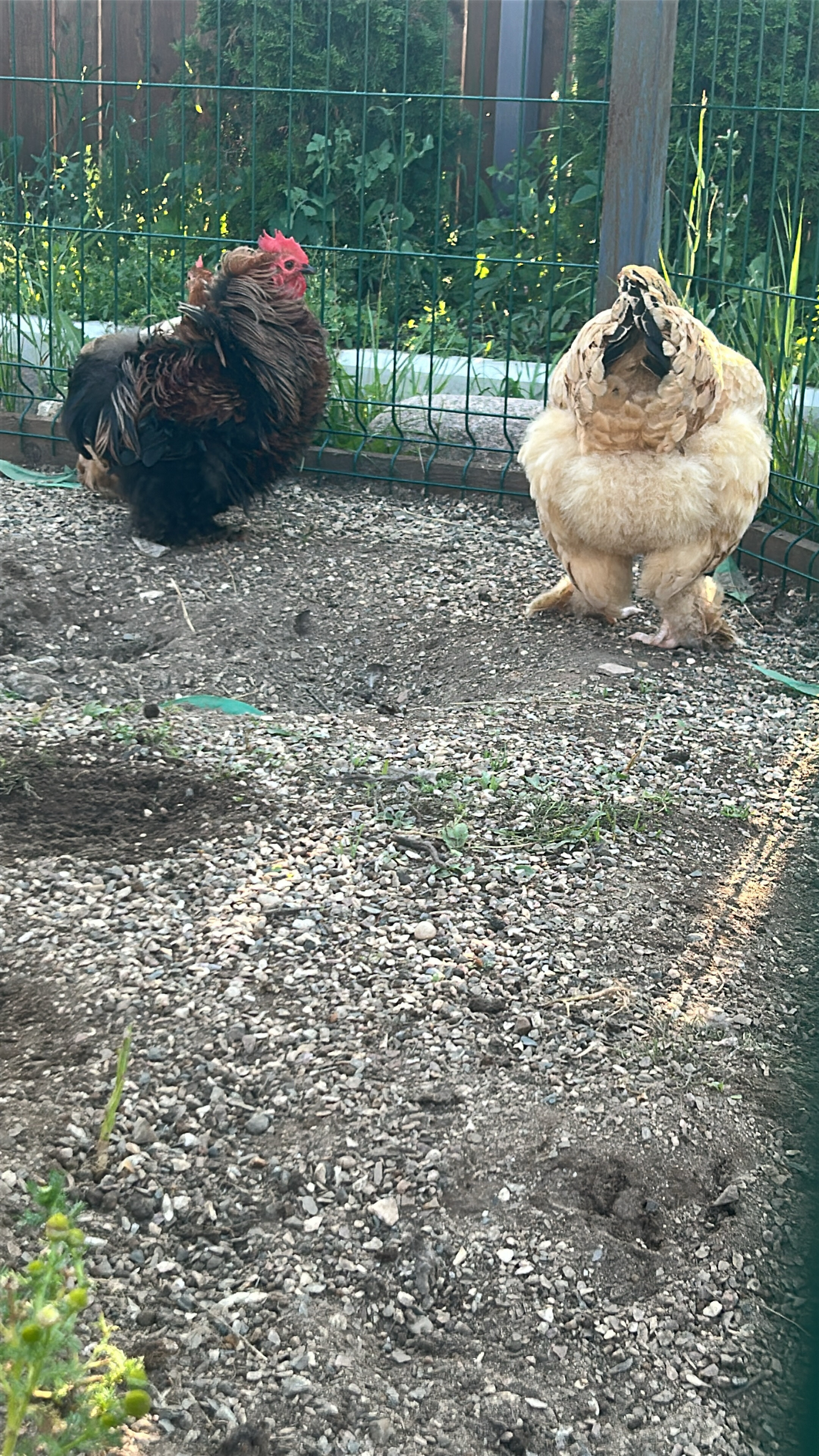 Фото Мамин уют