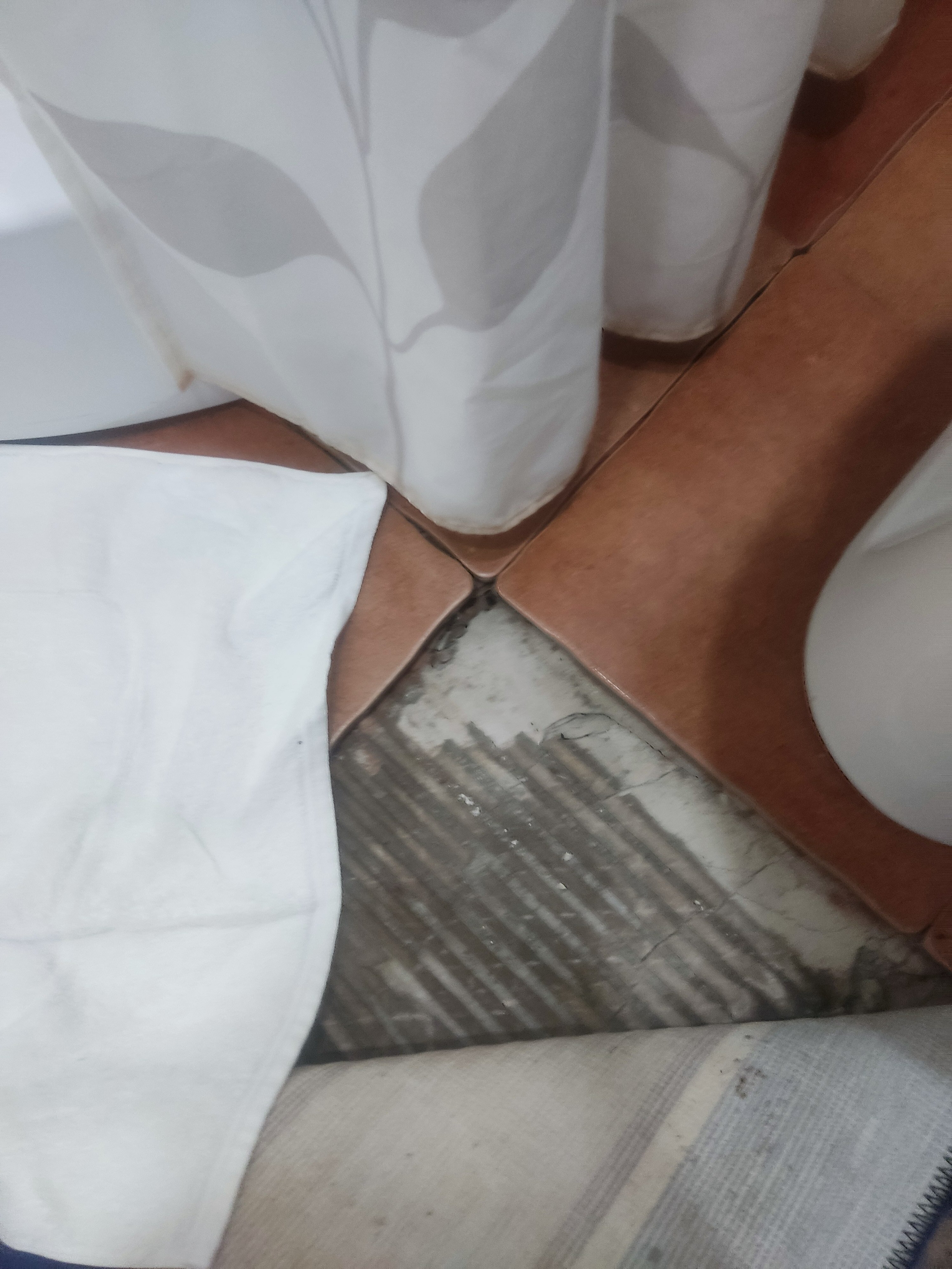 Фото Автодвор