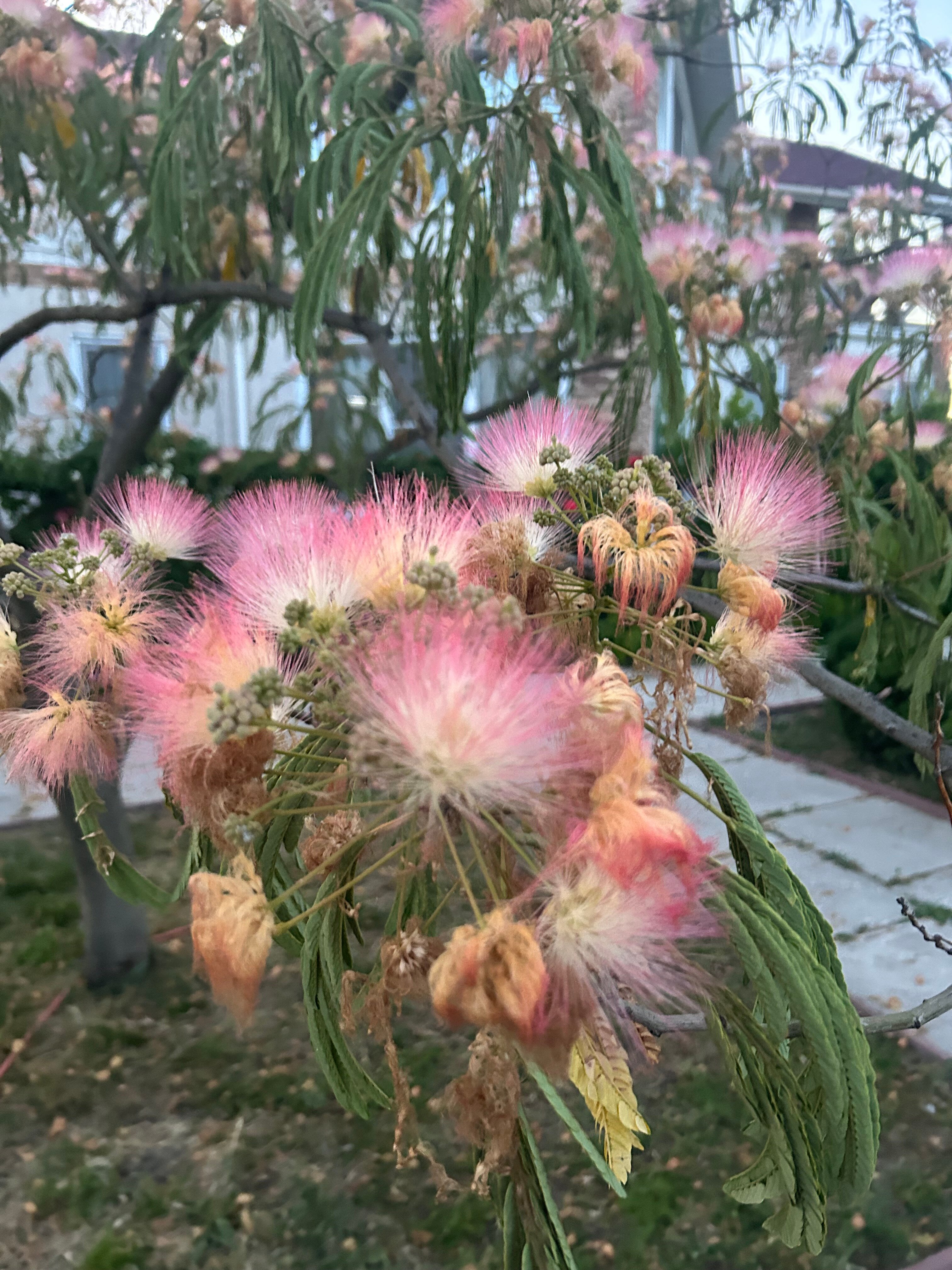 Фото Дом у моря