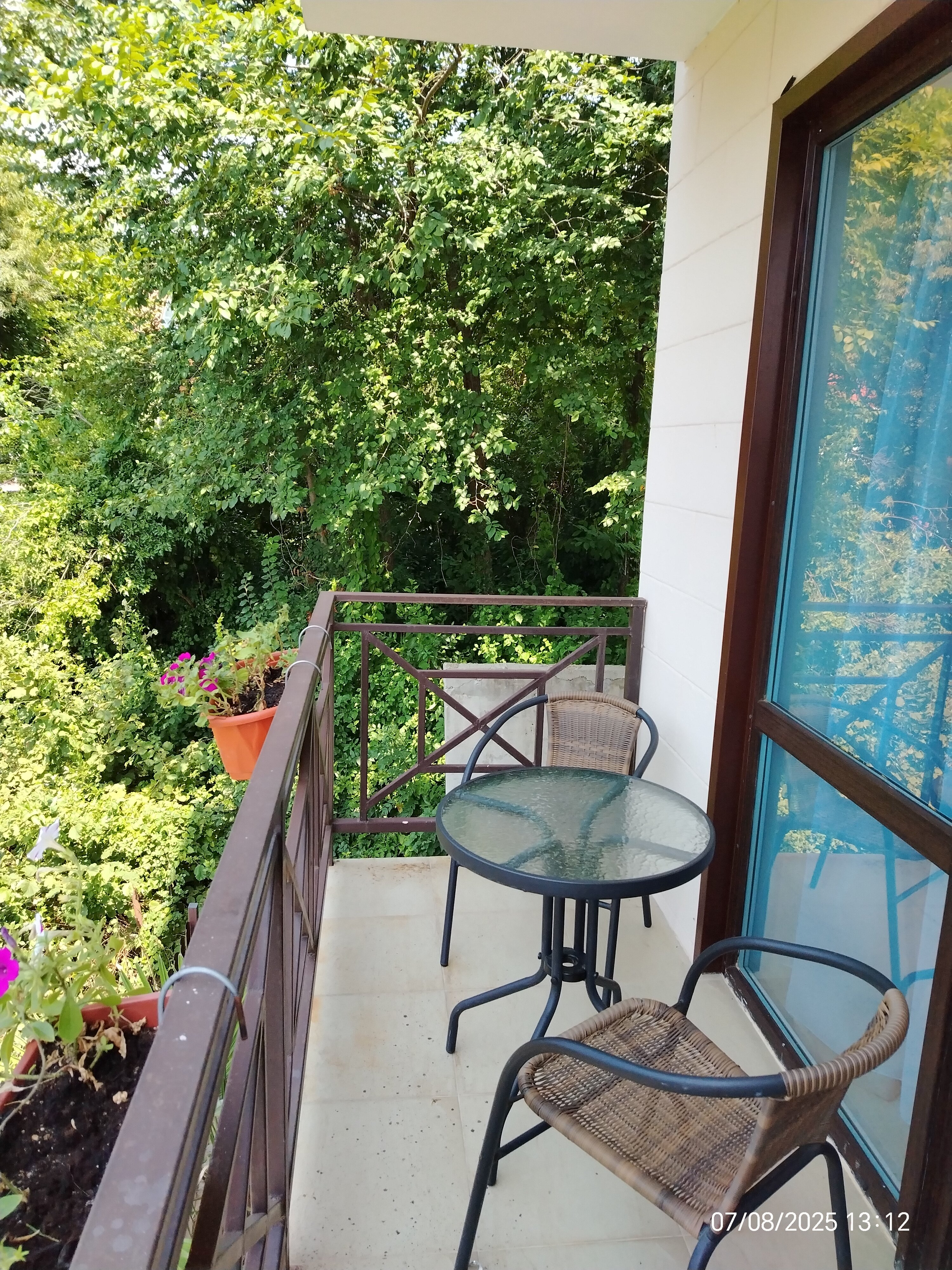 Фото Ланселот