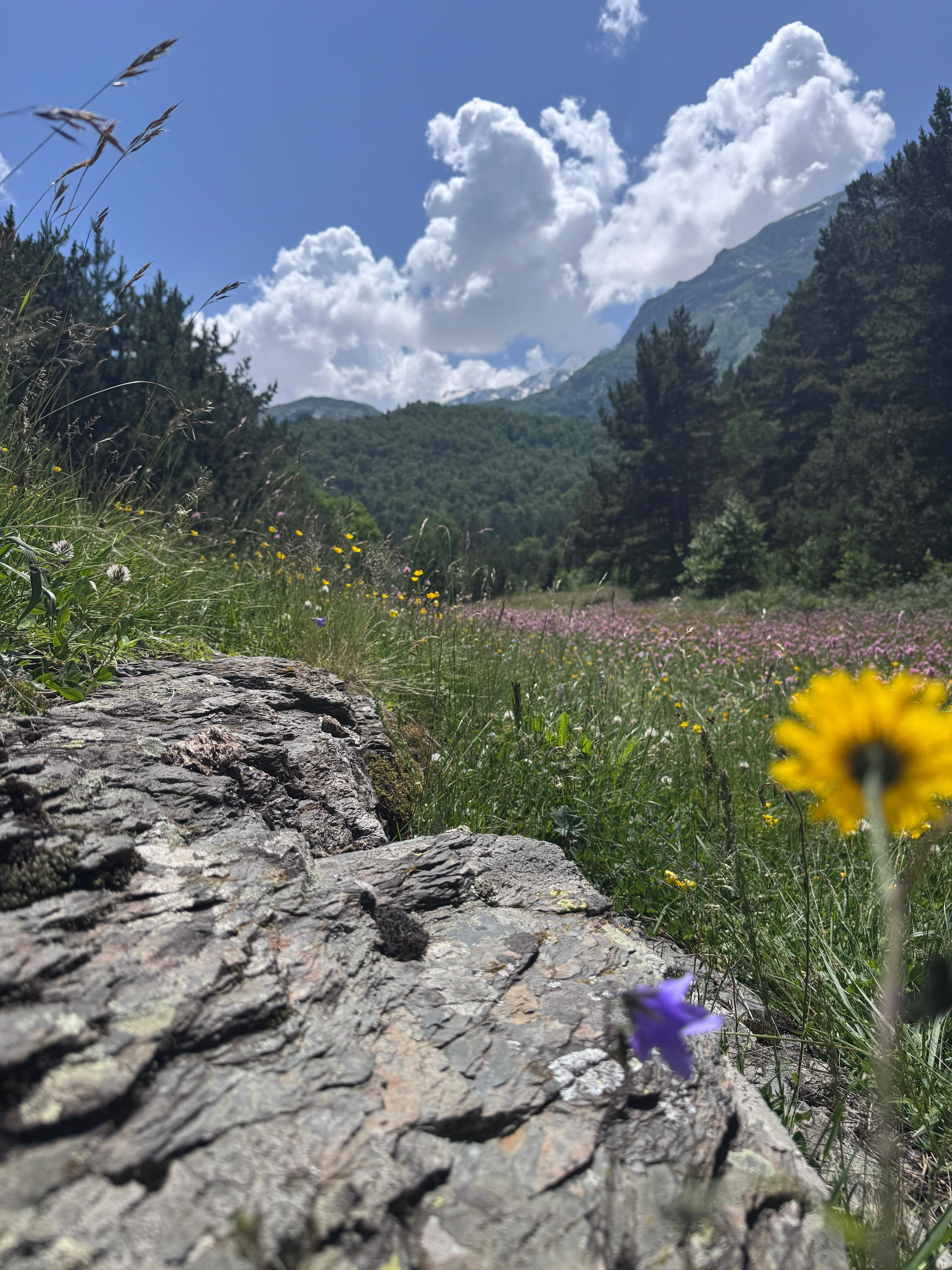 Фото Balkaria House