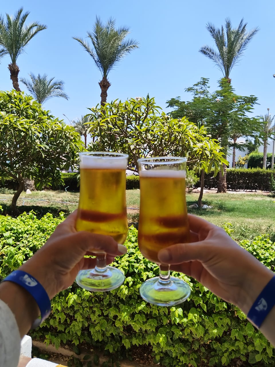 Фото Viva Sharm