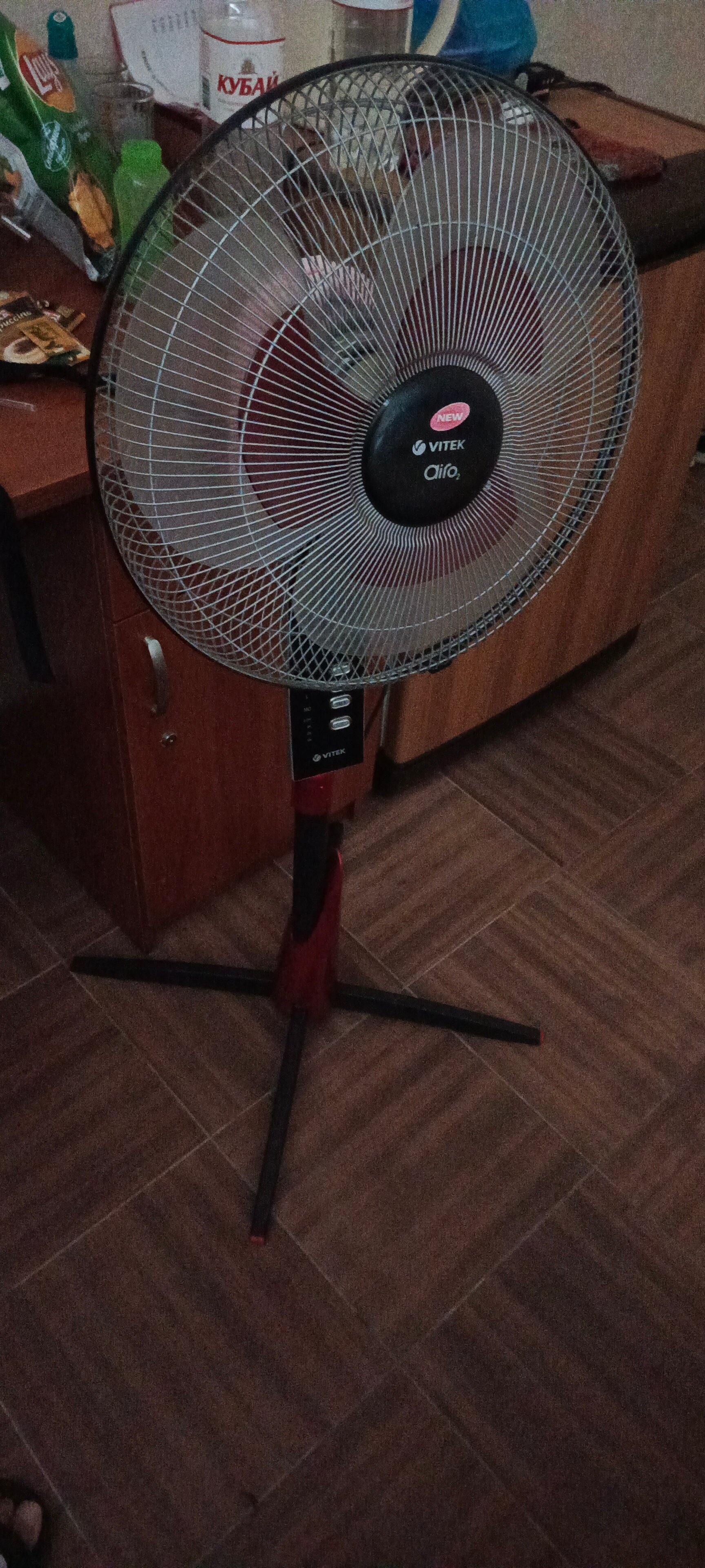 Фото Море и Пальмы