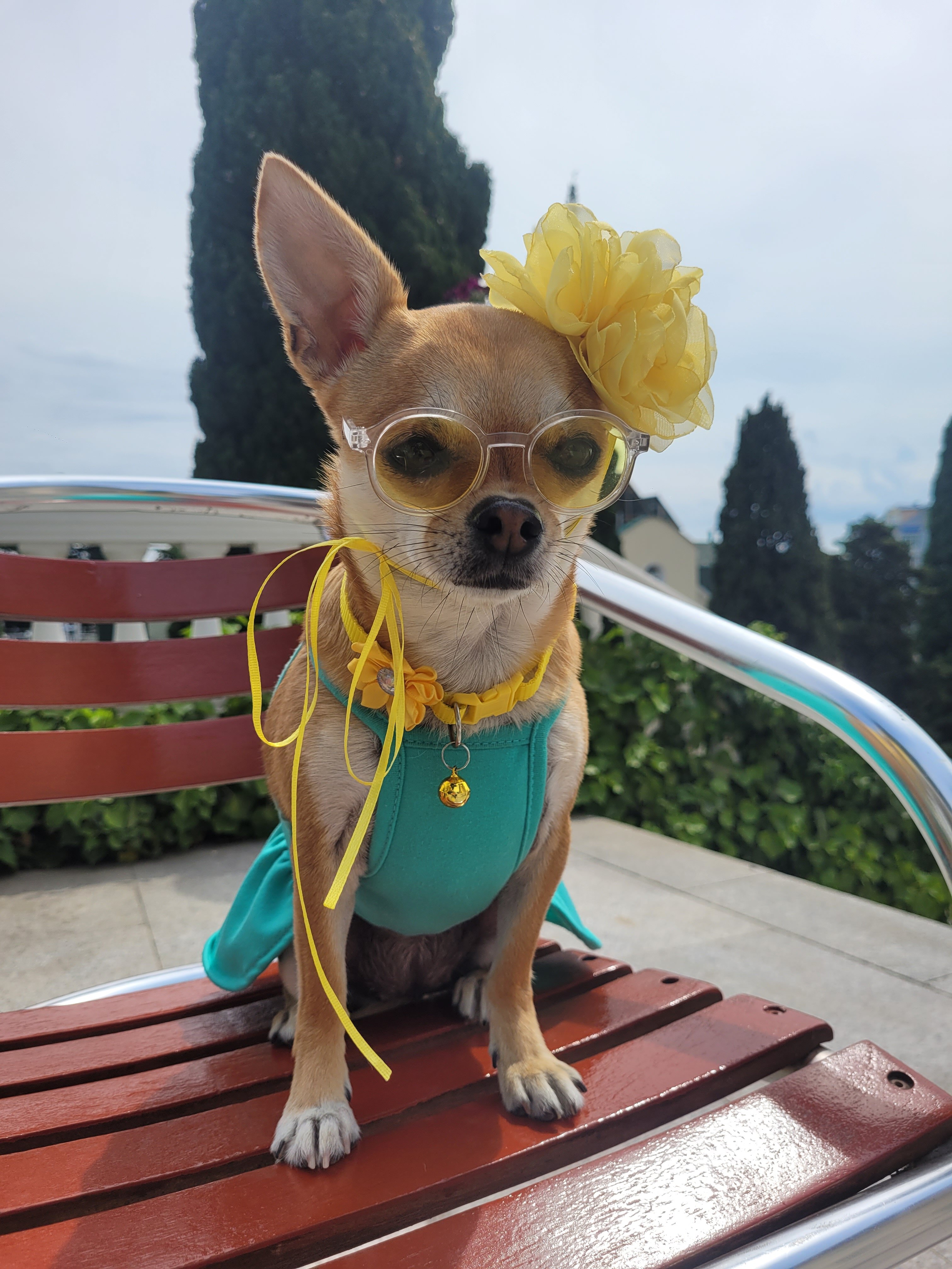 Фото Чайная горка