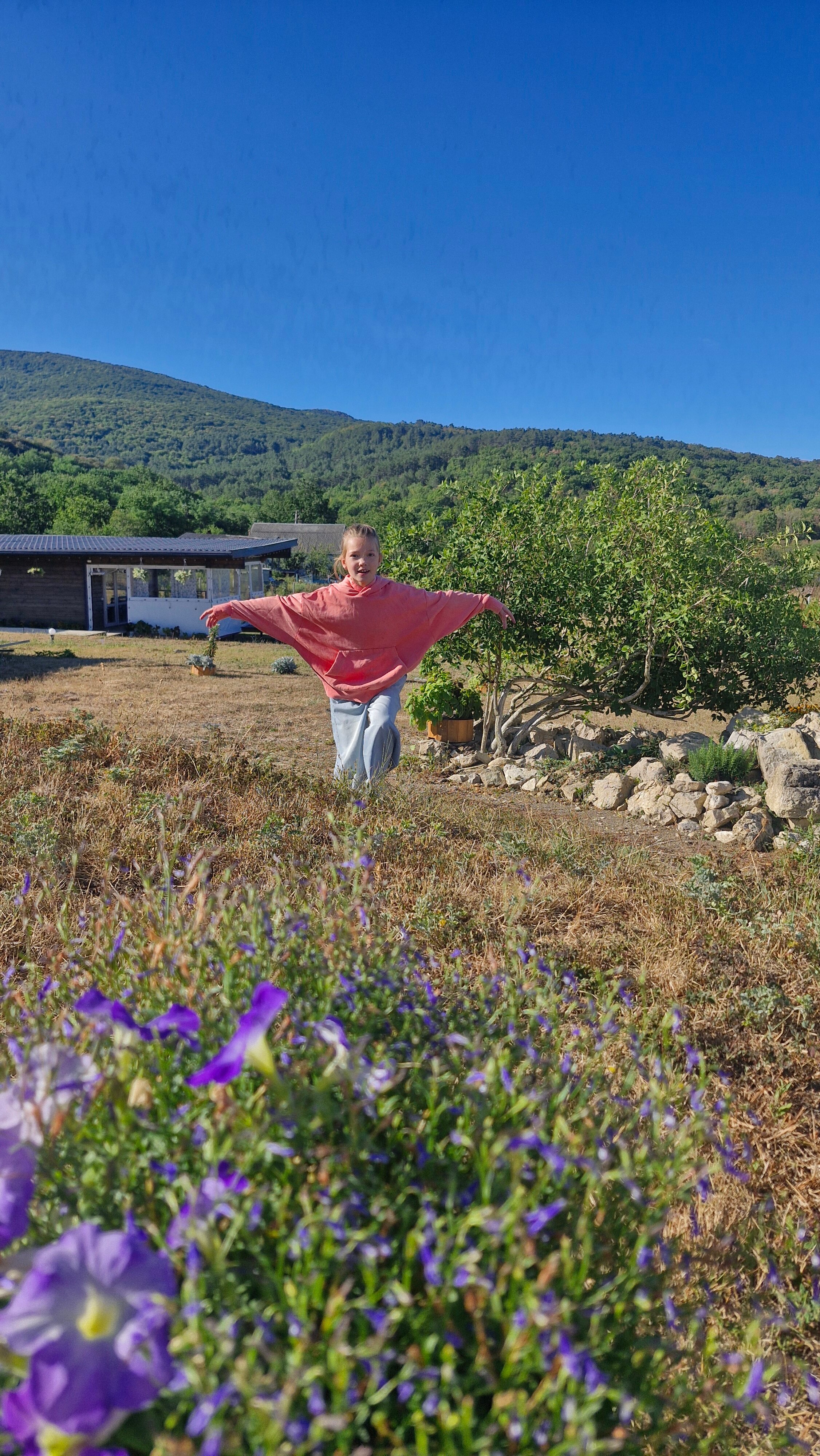 Фото Зарянка