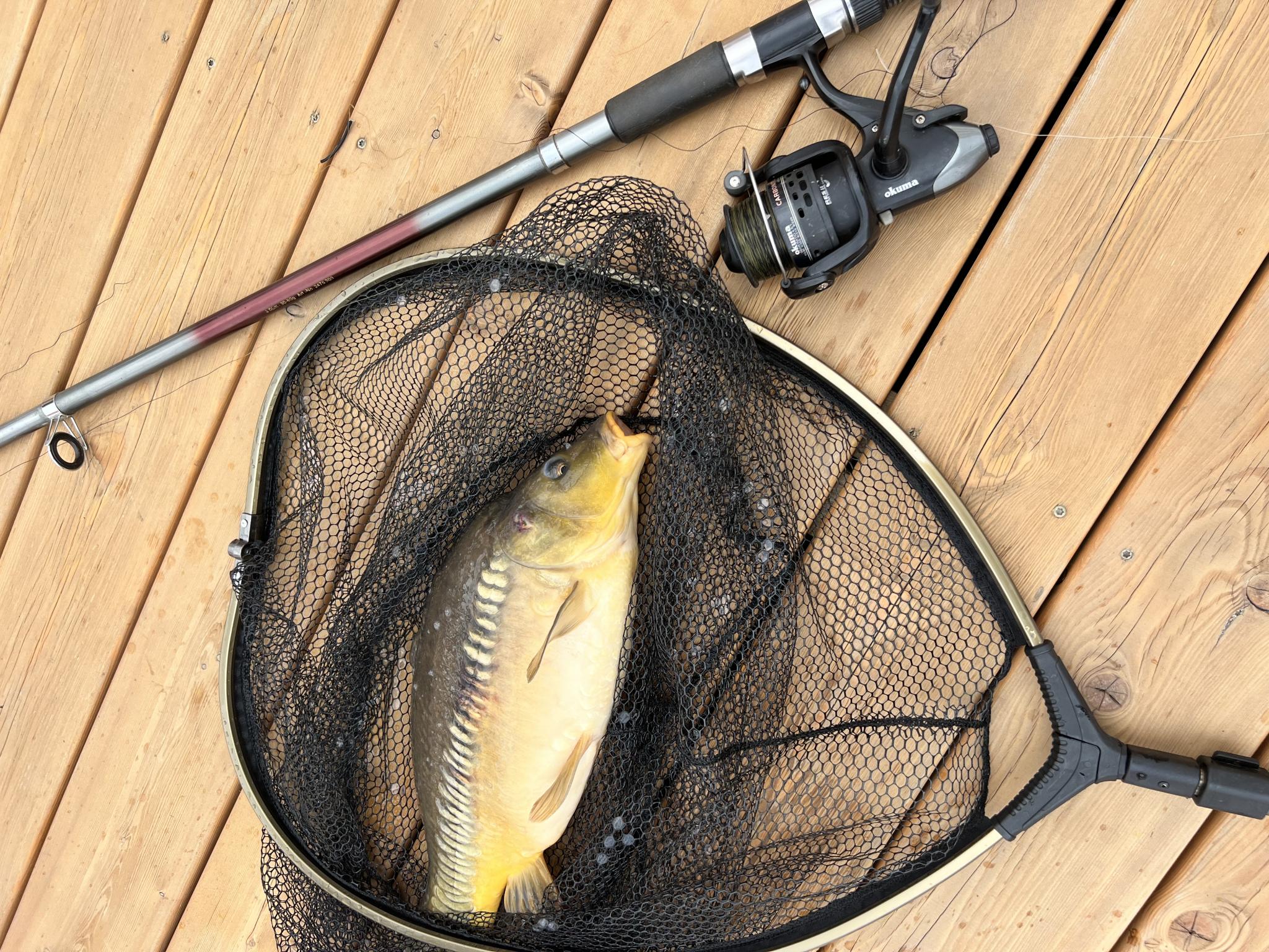 Фото Родная долина