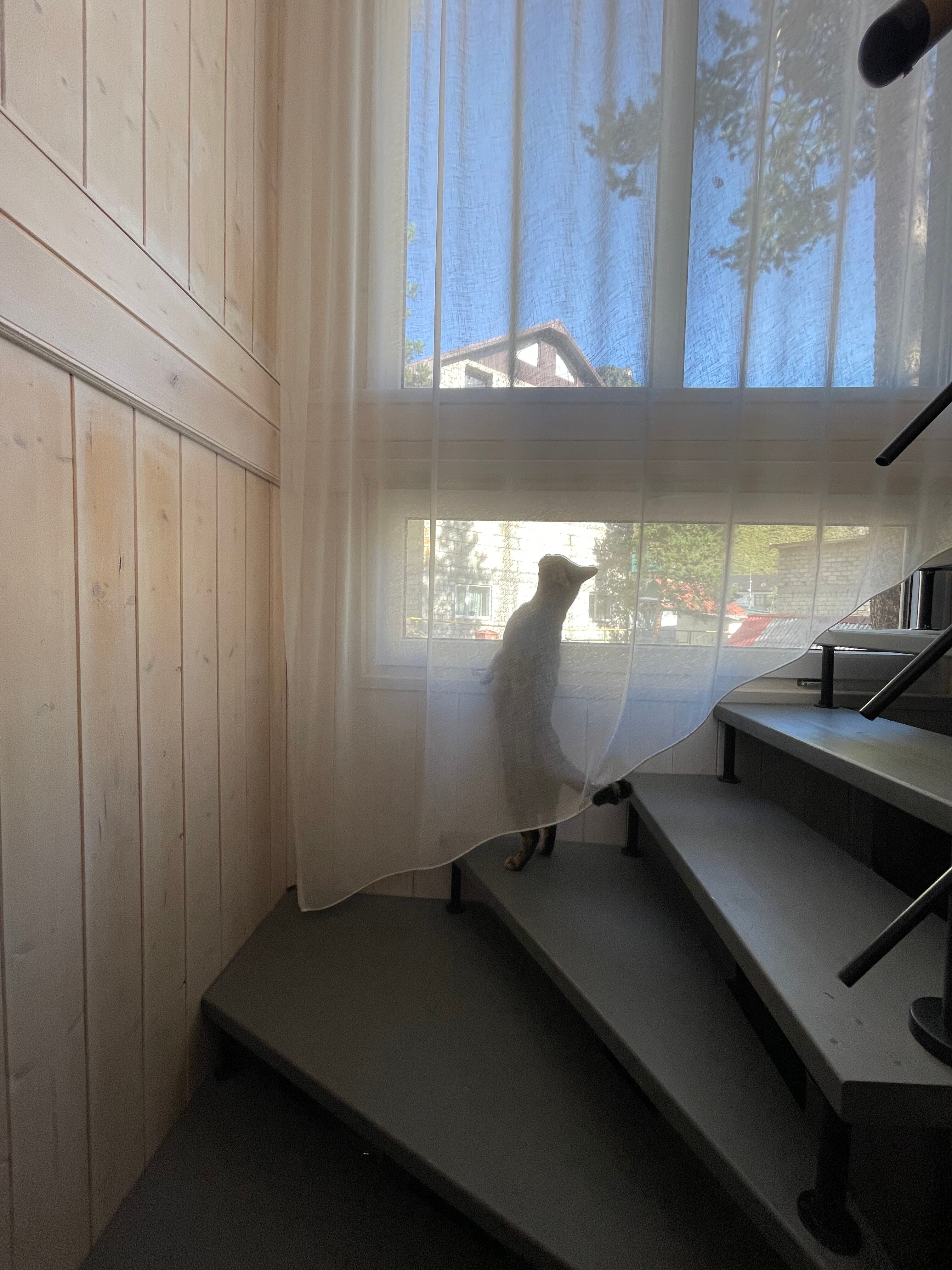 Фото Barn-Terskol Guest House