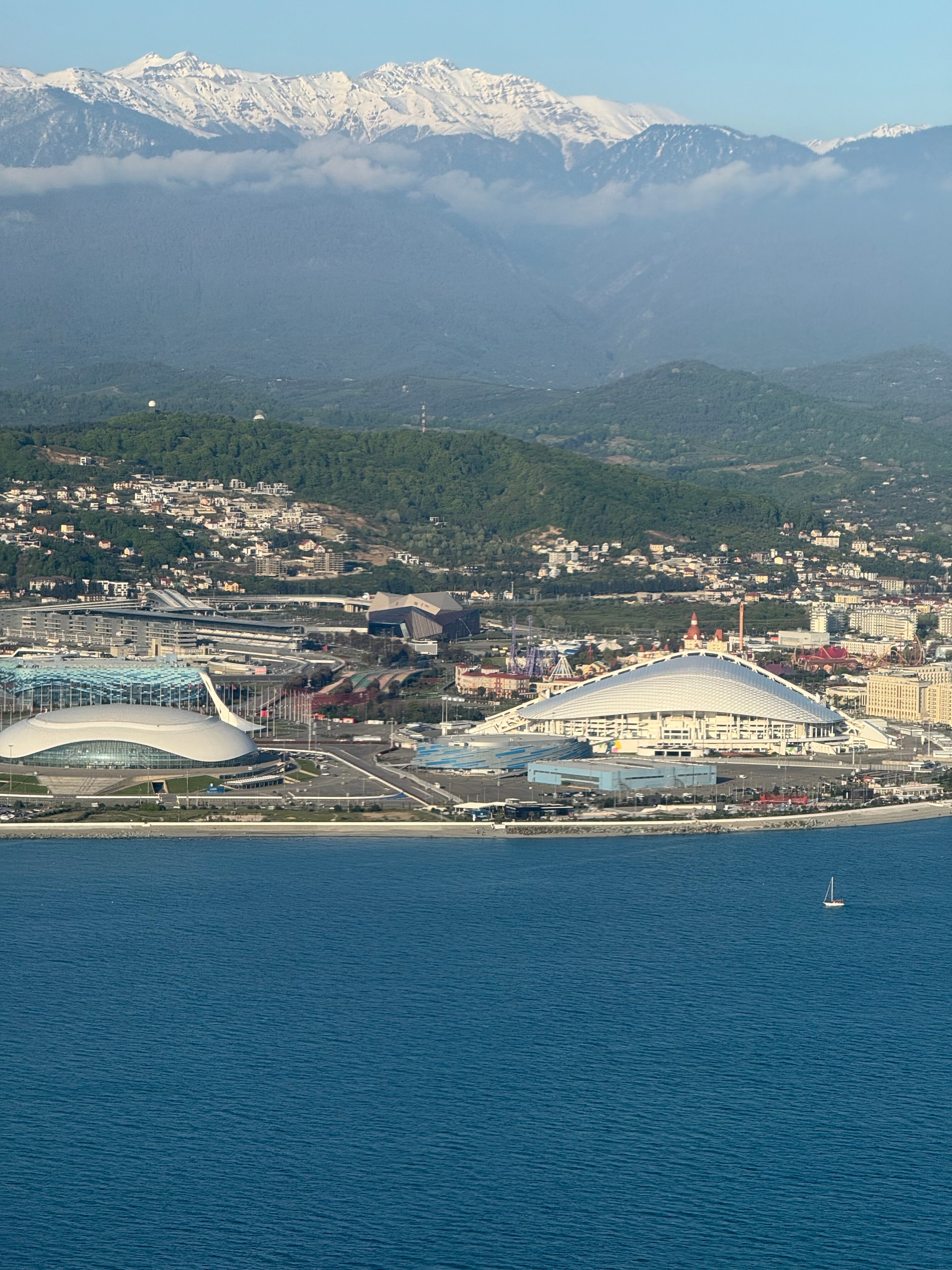 Фото Дельфин