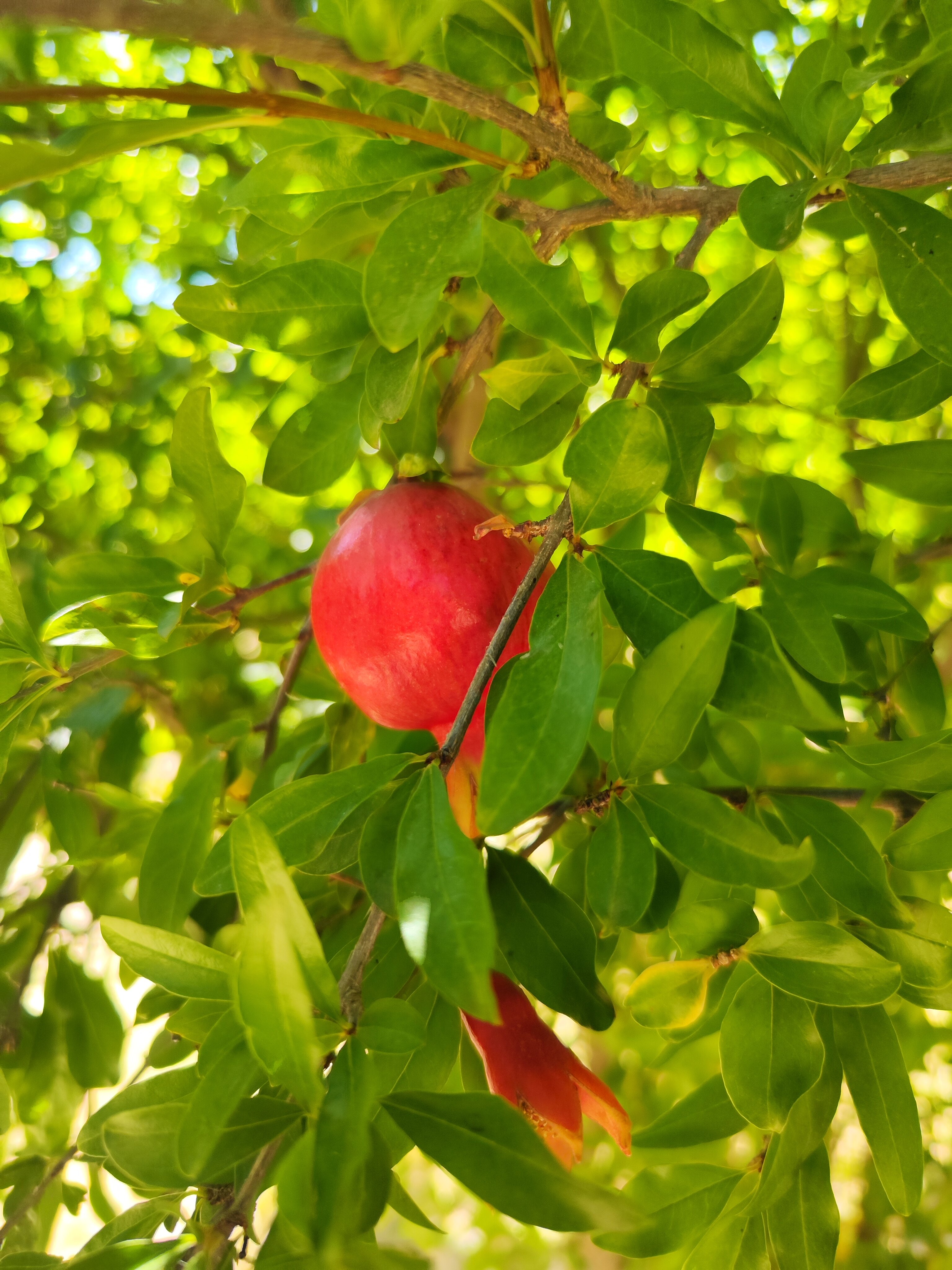 Фото Междуречье Camp