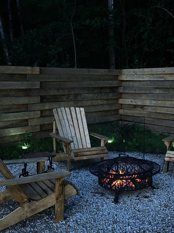 Фото Звёзды леса