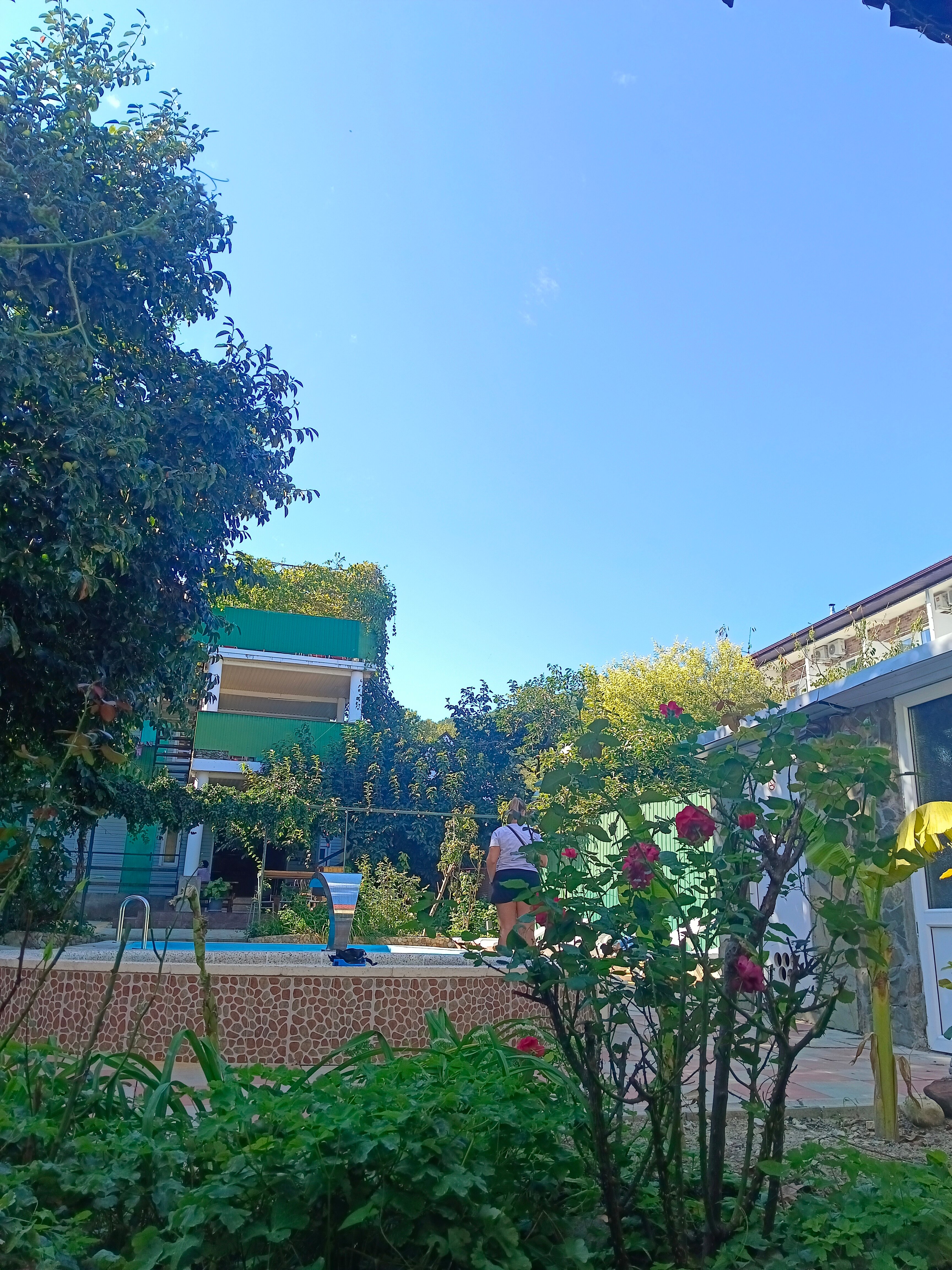 Фото Альдаир