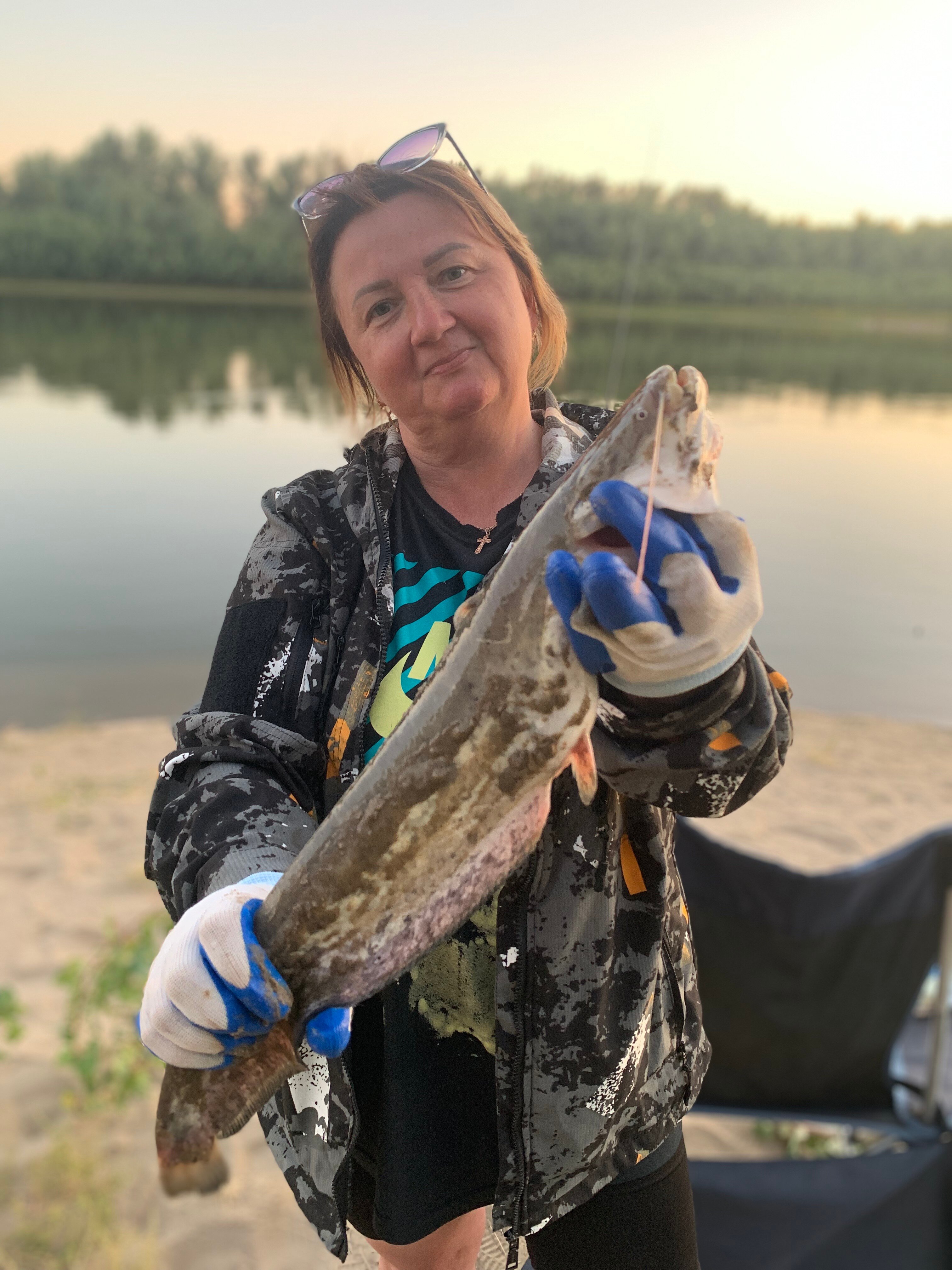 Фото Звезда