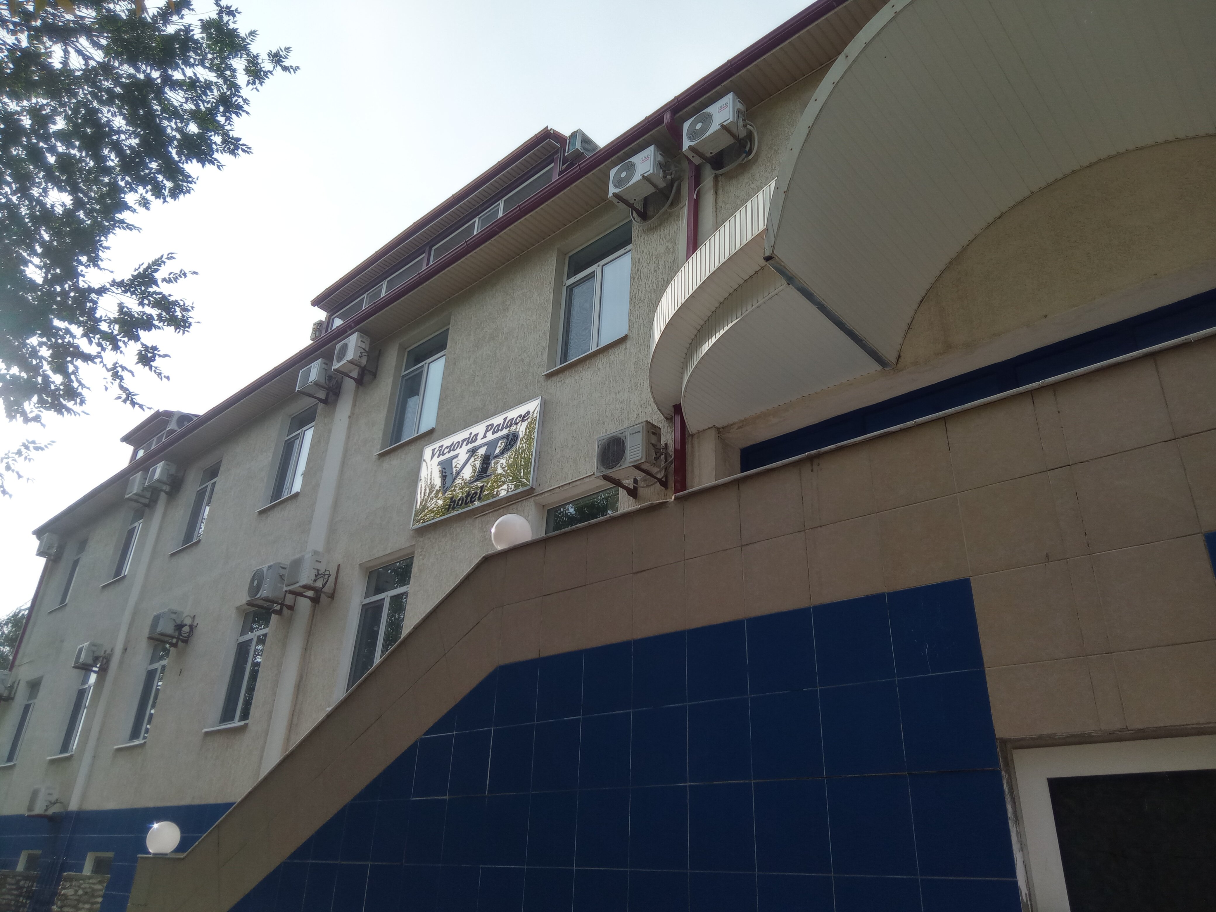 Фото Виктория Паласе