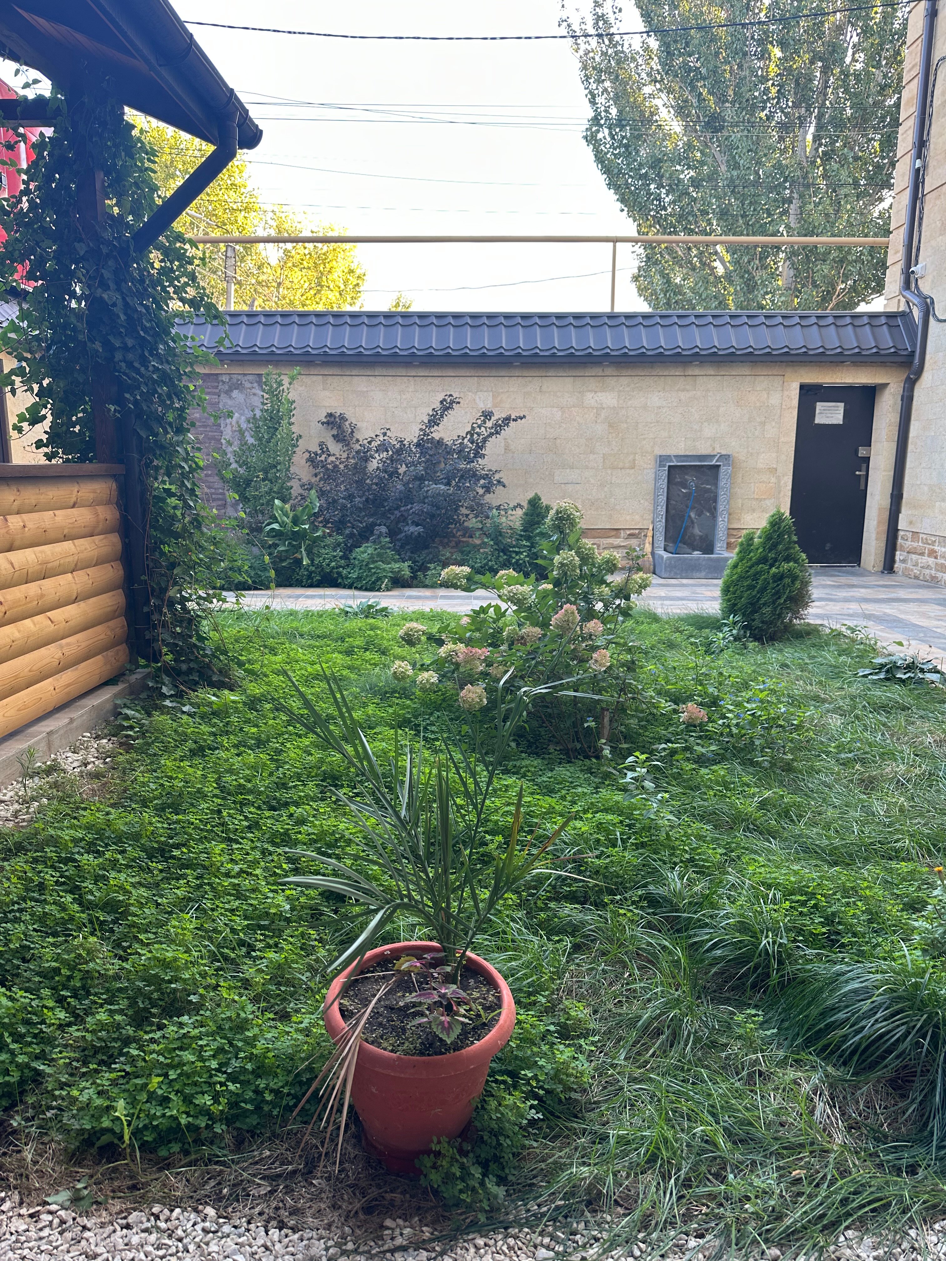 Фото Caspianflats