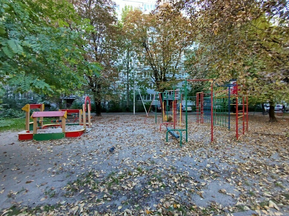 Playground Playground, Kaliningrad, photo