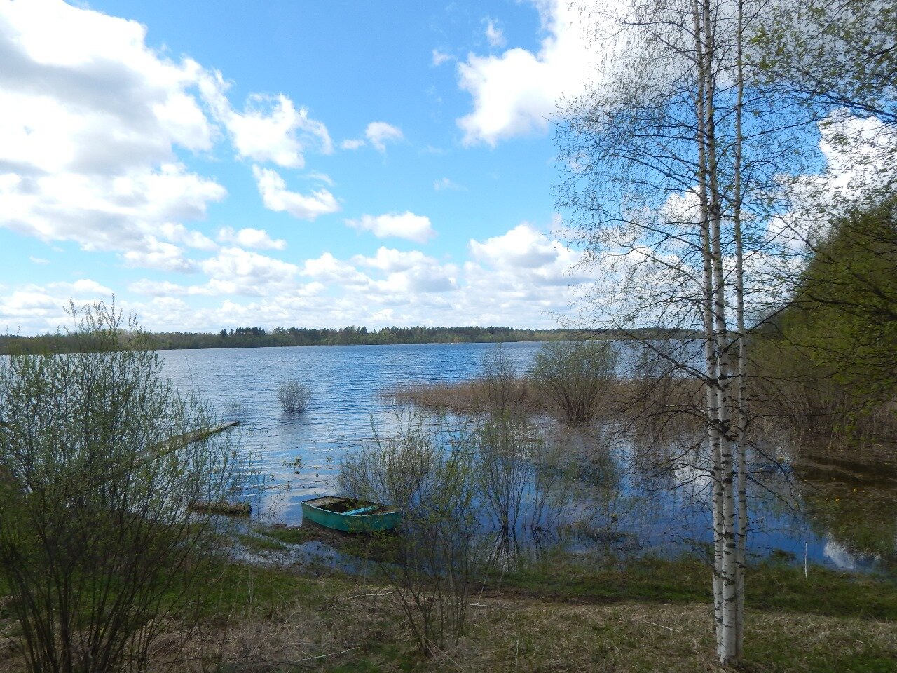 Фото Луманская заводь