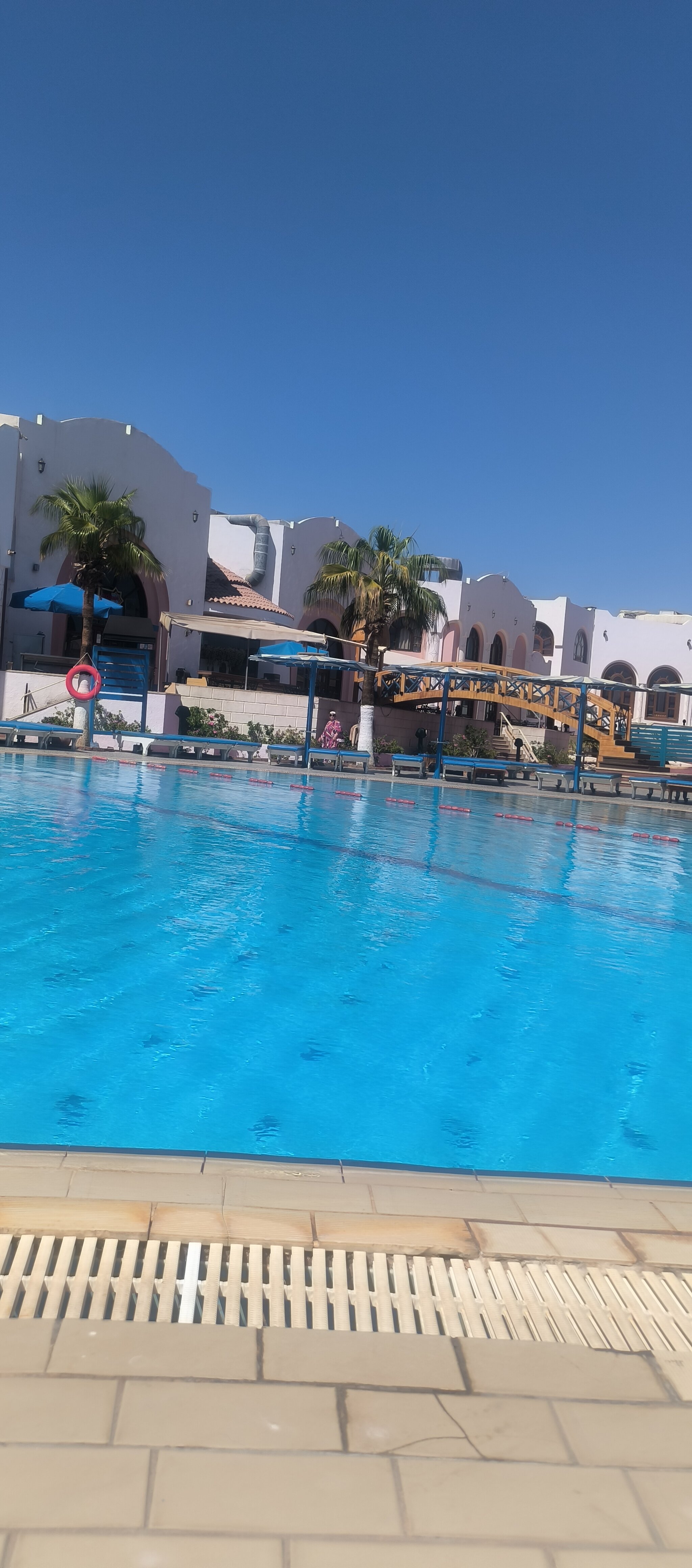 Фото Dreams Vacation