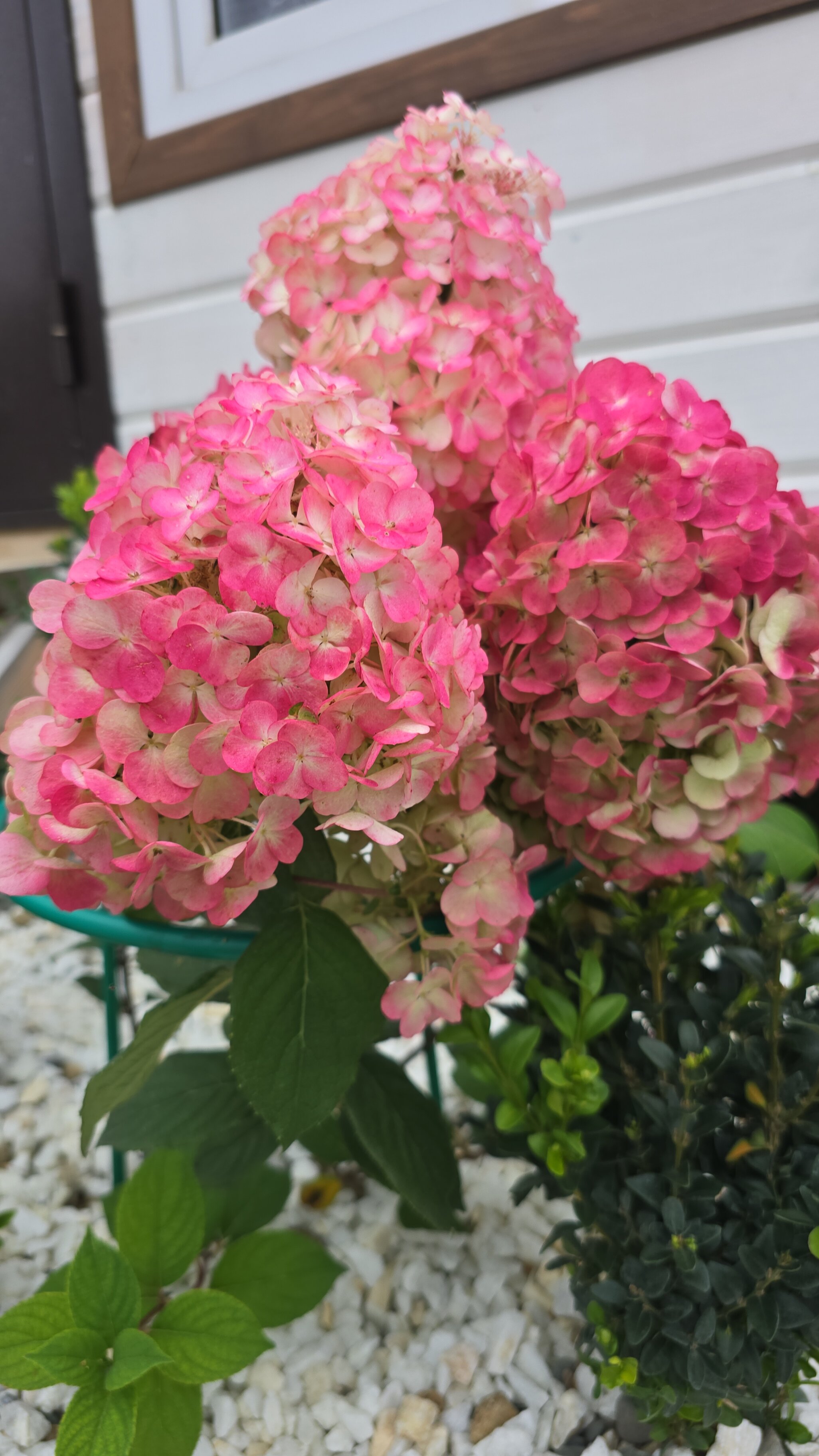 Фото Белая Дача