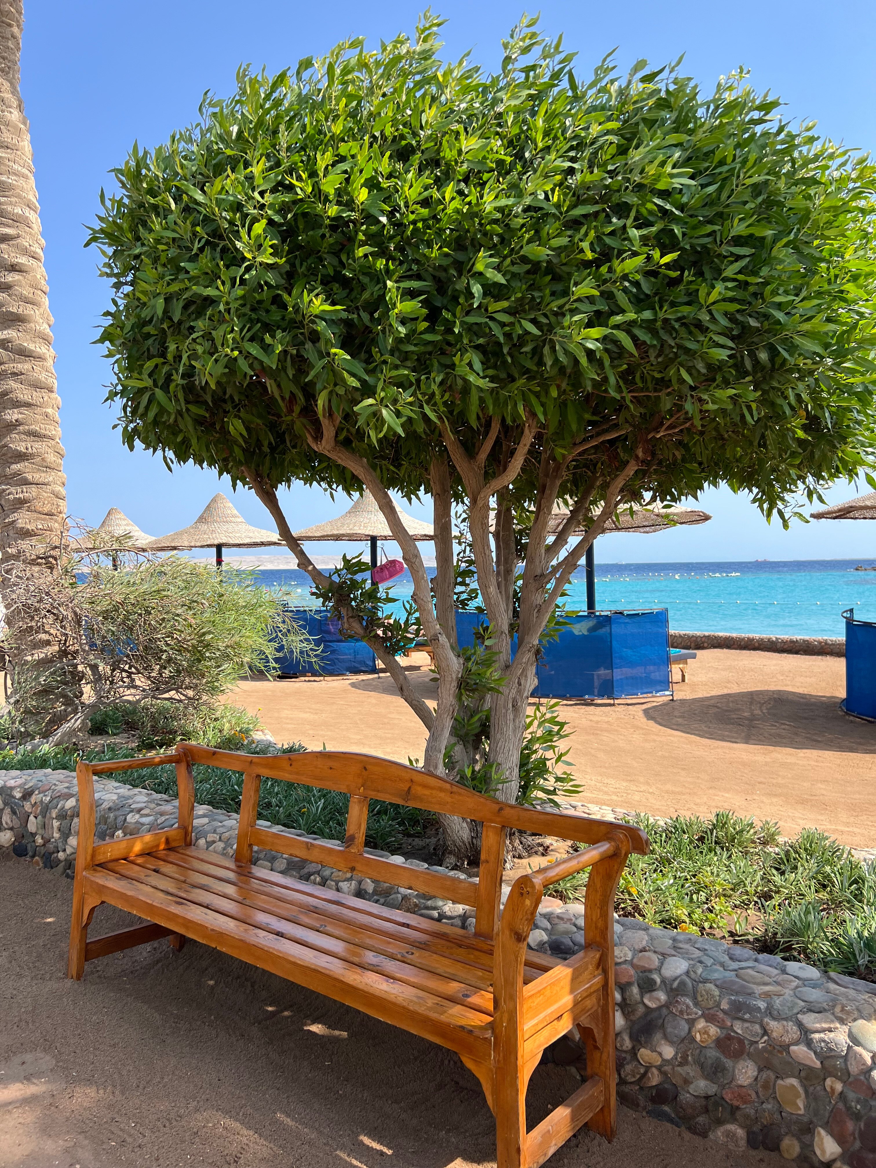 Фото Arabia Azur Resort