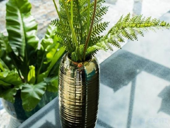 Фото Blue Lagoon Hotel