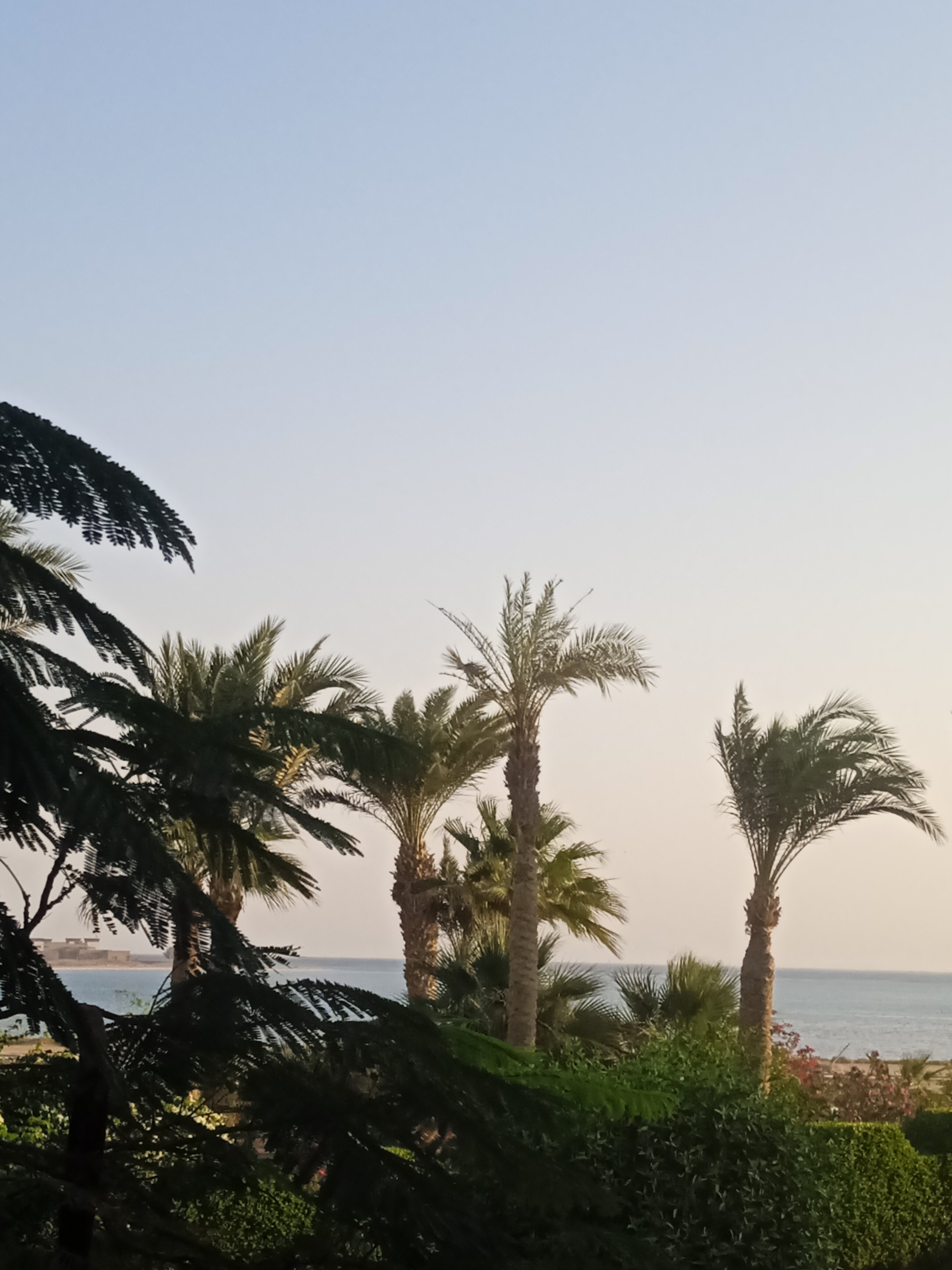 Фото Baron Palms Sharm El Sheikh