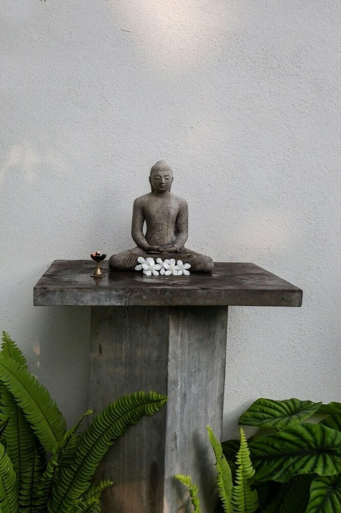 Фото Breeze of Paradise