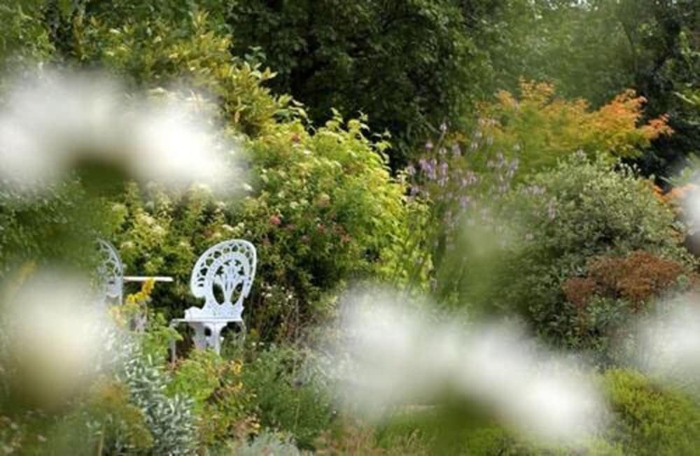 Фото Dorian House