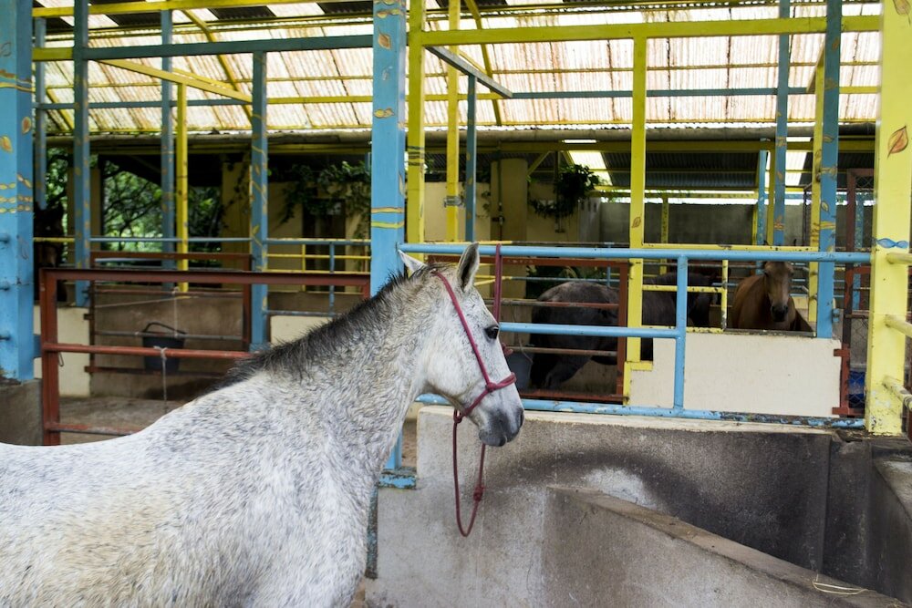 Фото Lands in Love Hotel