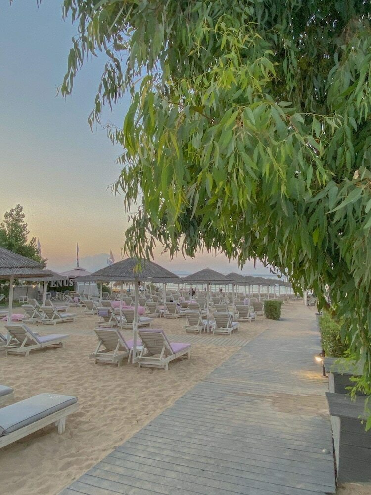 Фото Venus Resort