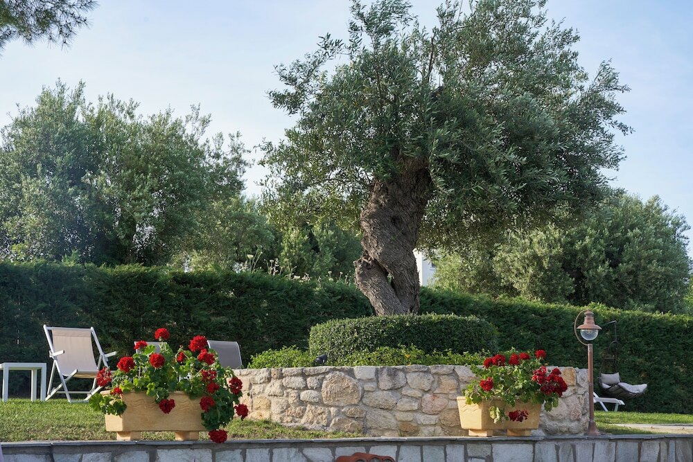 Фото Mirabilia Boutique Hotel