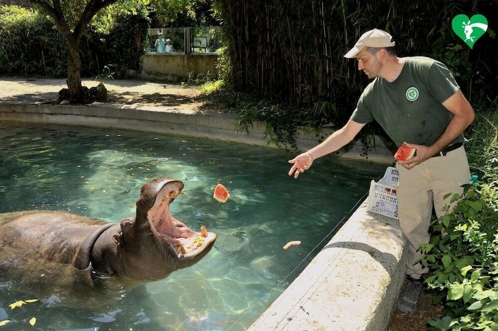 Фото Radisson Blu Ghr Hotel, Rome
