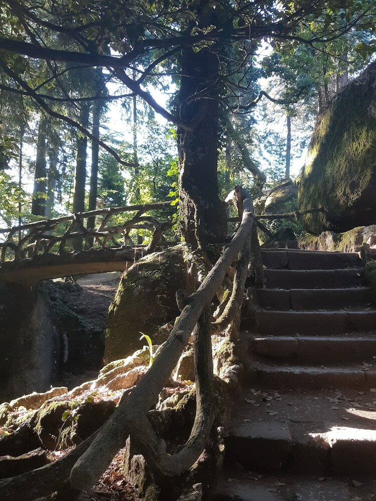 Фото Hotel do Parque