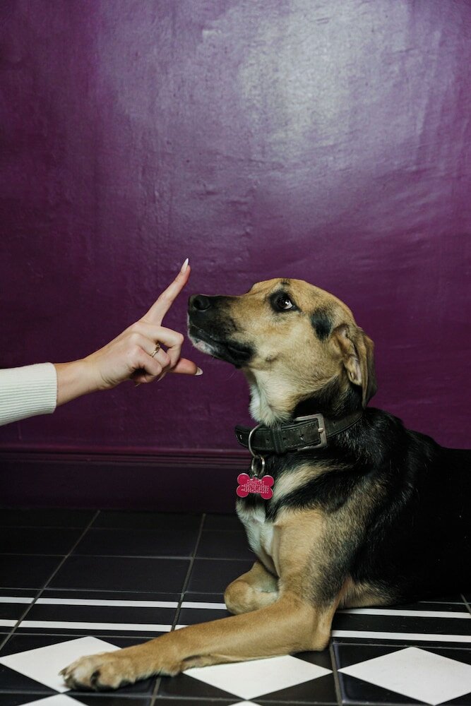 Фото Hotel Josefine