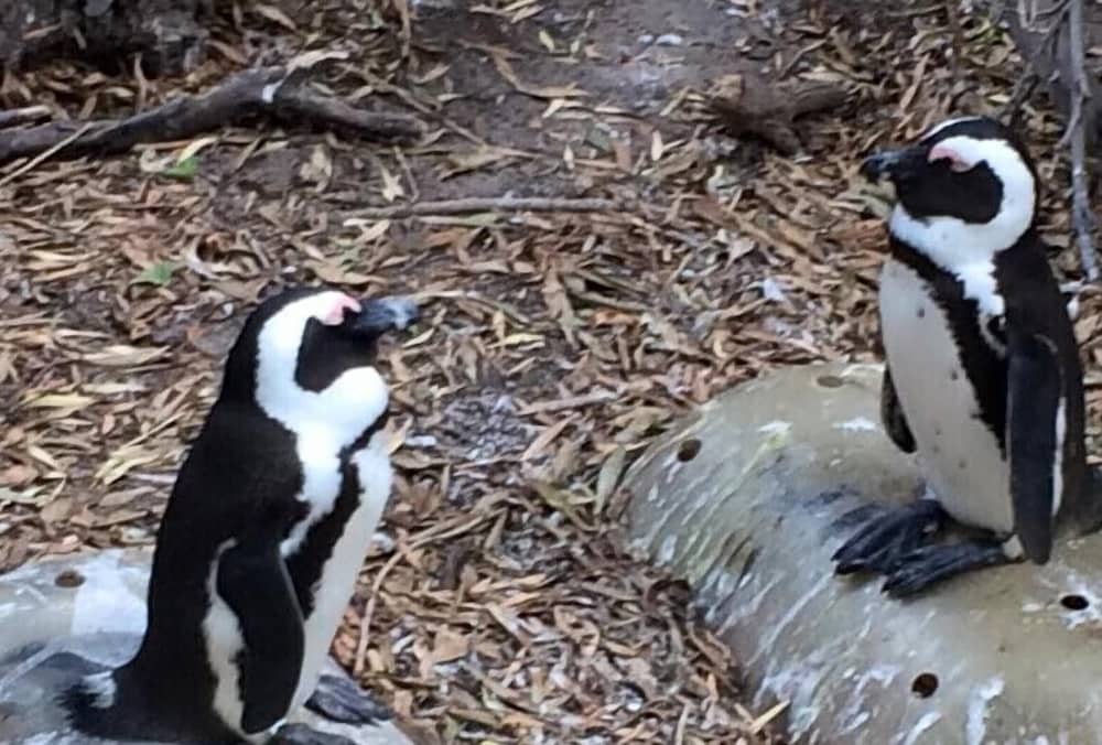 Фото The Grosvenor Guest House