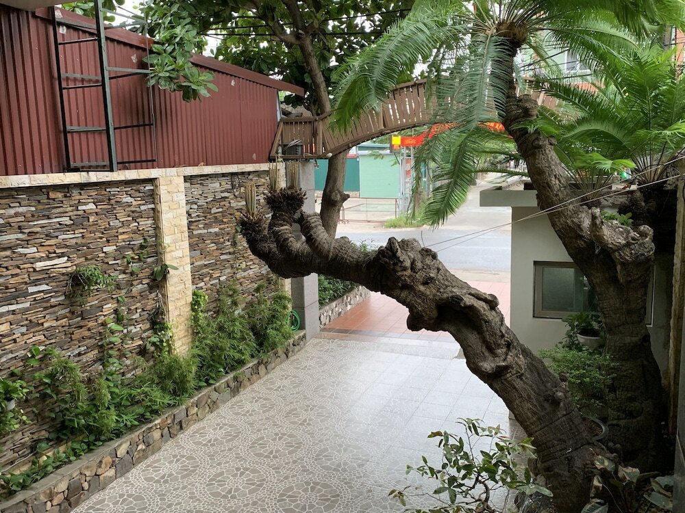 Фото Chio Hotel and Apartment