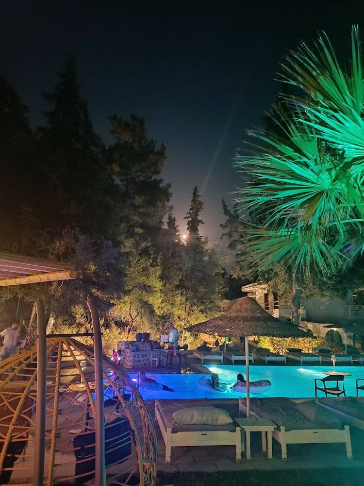 Фото Отель Trees Art Boutique