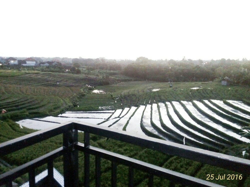 Фото Grandpa Guest House