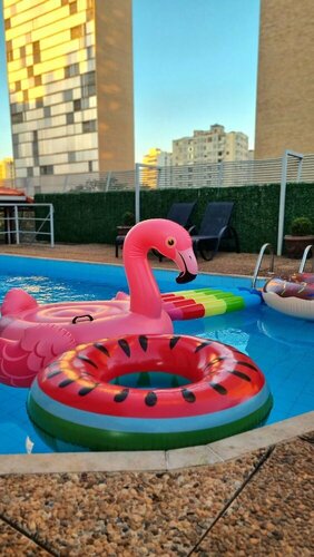 Внешний вид отеля Royal Center Hotel Lourdes в Белу-Оризонти, фото 4