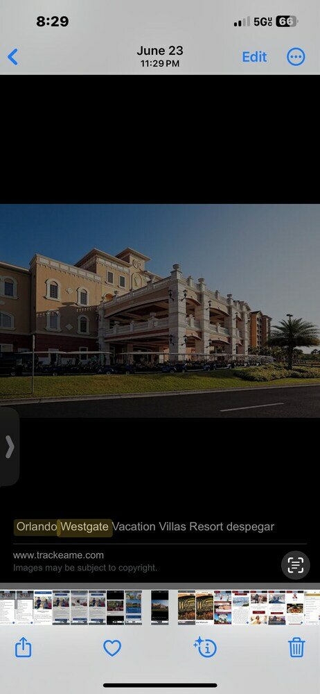 Фото Westgate Vacation Villas Resort