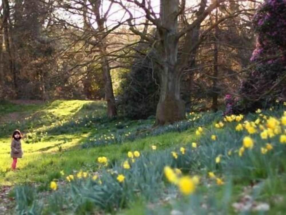 Фото Primrose Guest House