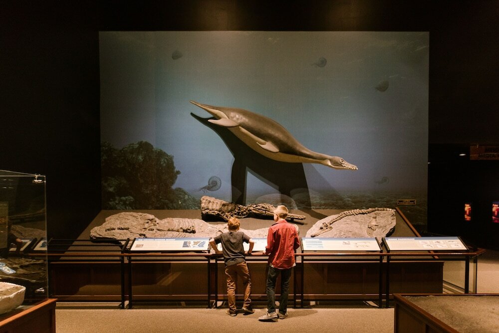 Фото Residence Inn by Marriott Bozeman Downtown