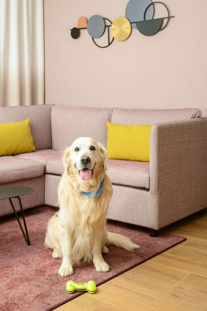 Фото 112327385794