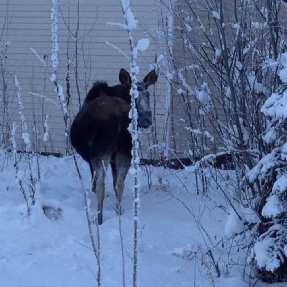 Фото 7 Gables Inn & Suites