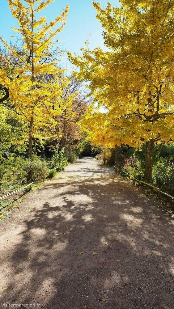 Фото Kyriad Montpellier Centre - Antigone