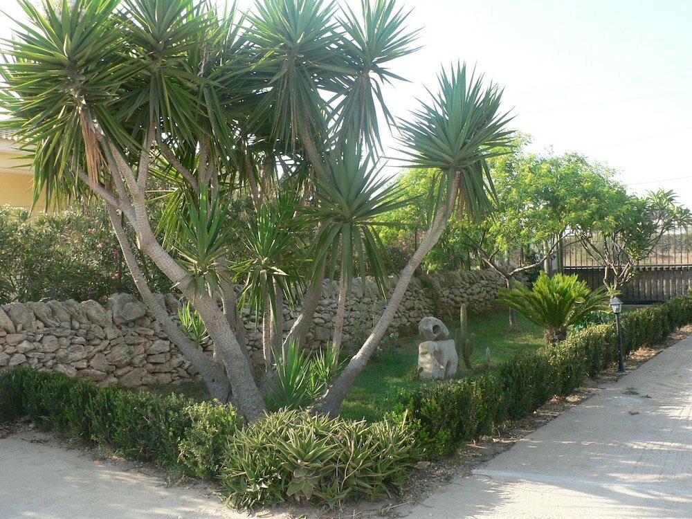 Фото B&b Villa Francesco