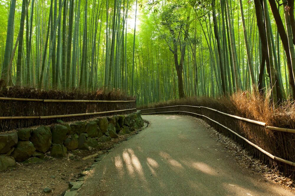 Фото Urban Hotel Kyoto Nijo Premium